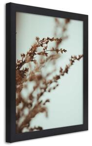 Plakát Příroda divokých větví Barva rámu: Černá, Rozměry: 20 x 30 cm