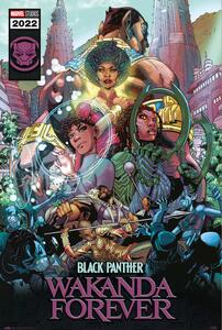 Plakát, Obraz - Black Panther: Wakanda Forever, (61 x 91.5 cm)