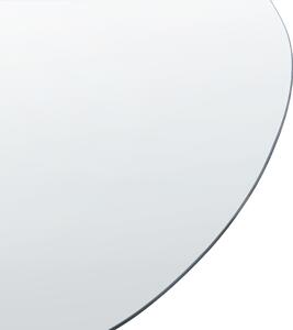 Nástěnné zrcadlo 40 x 65 cm stříbrné AUBAGNE