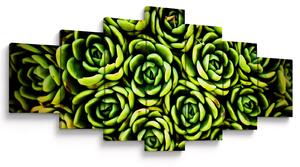 Obraz netřesků (210x100 cm)