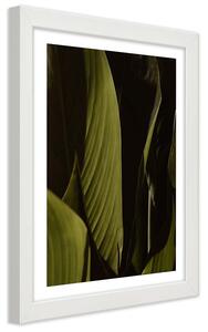 Plakát Zelené listy tropů Barva rámu: Bez rámu, Velikost: 20 x 30 cm