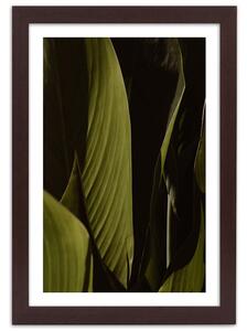 Plakát Zelené listy tropů Barva rámu: Bez rámu, Velikost: 20 x 30 cm