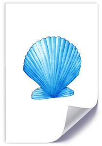 Plakát Modrá skořápka Barva rámu: Bez rámu, Rozměry: 30 x 45 cm