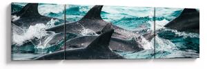 Obraz - Delfíni v oceáně (170x50 cm)