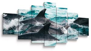 Obraz - Delfíni v oceáně (210x100 cm)