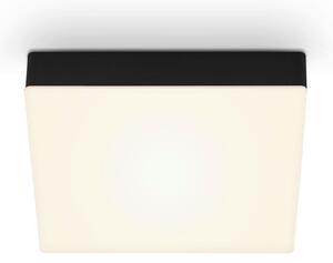 STROPNÍ LED SVÍTIDLO, 21,2/21,2/3,6 cm - Stropní svítidla