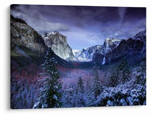 Obraz - Yosemite, USA (70x50 cm)