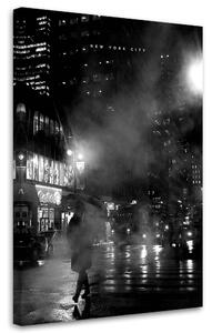 Obraz na plátně New York v mlze - Nikita Abakumov Rozměry: 40 x 60 cm