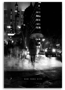 Obraz na plátně Černobílý New York - Nikita Abakumov Rozměry: 40 x 60 cm