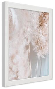 Plakát Pampová tráva Barva rámu: Bílá, Rozměry: 30 x 45 cm