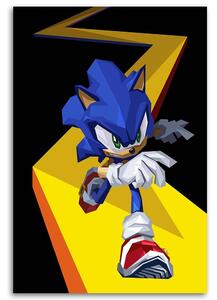 Obraz na plátně Sonic - Nikita Abakumov Rozměry: 40 x 60 cm