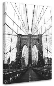 Obraz na plátně Brooklynská struktura - Nikita Abakumov Rozměry: 40 x 60 cm