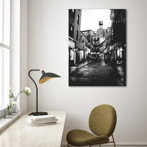 Obraz na plátně Černobílá ulice - Nikita Abakumov Rozměry: 40 x 60 cm