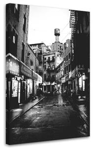Obraz na plátně Černobílá ulice - Nikita Abakumov Rozměry: 40 x 60 cm