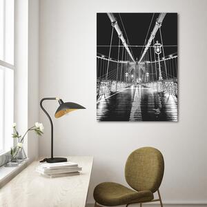 Obraz na plátně Brooklynský most - Nikita Abakumov Rozměry: 40 x 60 cm