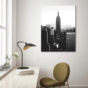 Obraz na plátně Černobílé město - Nikita Abakumov Rozměry: 40 x 60 cm