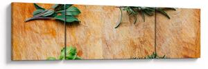 Obraz - Bylinky (170x50 cm)