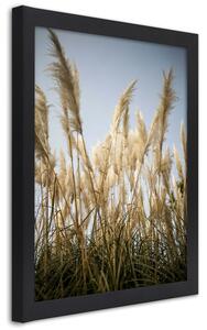 Plakát Stonky trávy Barva rámu: Černá, Rozměry: 20 x 30 cm