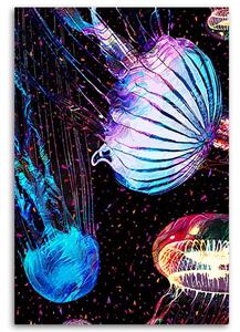 Obraz na plátně Barevná abstrakce medúzy - Gab Fernando Rozměry: 40 x 60 cm