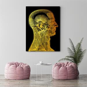 Obraz na plátně Zlatá anatomie, svaly obličeje - Gab Fernando Rozměry: 40 x 60 cm