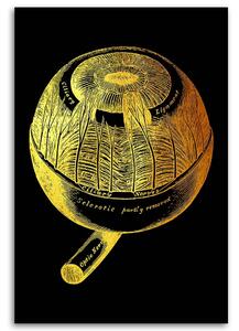 Obraz na plátně Zlatá anatomie, oko - Gab Fernando Rozměry: 40 x 60 cm