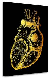 Obraz na plátně Zlatá anatomie, lidské srdce - Gab Fernando Rozměry: 40 x 60 cm