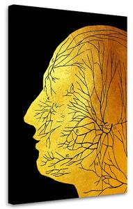 Obraz na plátně Zlatá anatomie, obličejové nervy - Gab Fernando Rozměry: 40 x 60 cm