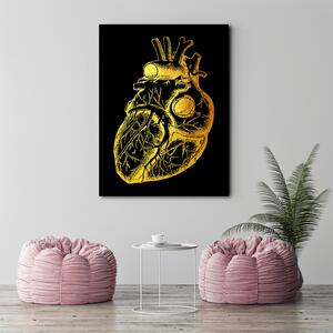 Obraz na plátně Zlatá anatomie, lidské srdce - Gab Fernando Rozměry: 40 x 60 cm