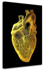 Obraz na plátně Zlatá anatomie, srdce - Gab Fernando Rozměry: 40 x 60 cm