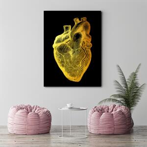 Obraz na plátně Zlatá anatomie, srdce - Gab Fernando Rozměry: 40 x 60 cm