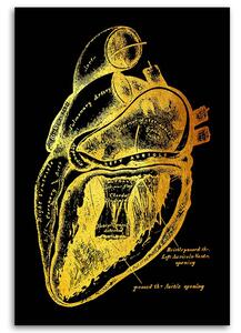 Obraz na plátně Zlatá anatomie, Funkce srdce - Gab Fernando Rozměry: 40 x 60 cm