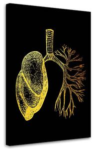 Obraz na plátně Zlatá anatomie, plíce - Gab Fernando Rozměry: 40 x 60 cm