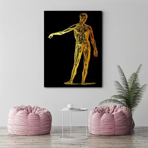 Obraz na plátně Zlatá anatomie, tělo - Gab Fernando Rozměry: 40 x 60 cm