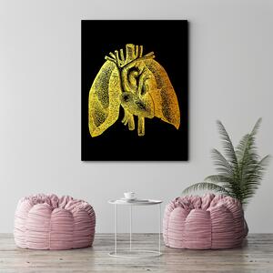 Obraz na plátně Zlatá anatomie, lidské plíce - Gab Fernando Rozměry: 40 x 60 cm