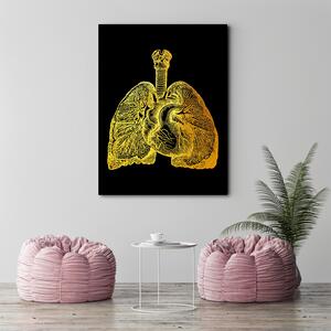 Obraz na plátně Zlatá anatomie, plíce a srdce - Gab Fernando Rozměry: 40 x 60 cm