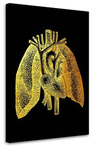 Obraz na plátně Zlatá anatomie, lidské plíce - Gab Fernando Rozměry: 40 x 60 cm