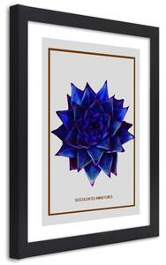 Plakát Modrý kaktus Barva rámu: Černá, Rozměry: 20 x 30 cm