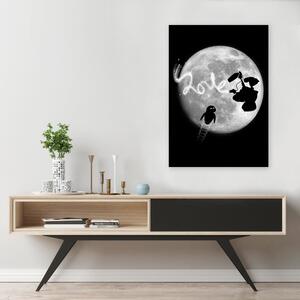 Obraz na plátně Walli-e pracuje na filmu o Měsíci - Dr.Monekers Rozměry: 40 x 60 cm