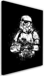 Obraz na plátně Star Wars, Starship Trooper - Dr.Monekers Rozměry: 40 x 60 cm