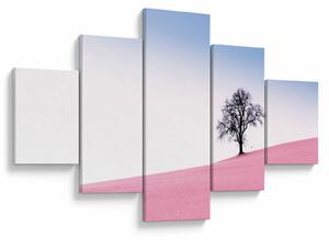 Obraz - Růžový sen (125x70 cm)