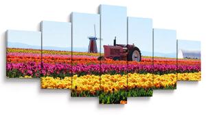 Obraz tulipánové farmy (210x100 cm)