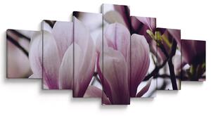 Obraz - Magnolie (210x100 cm)