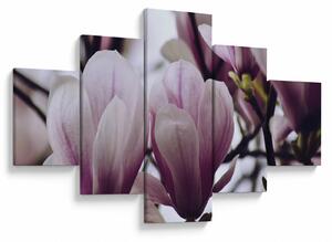 Obraz - Magnolie (125x70 cm)