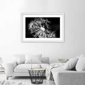Plakát Černobílá pampeliška Barva rámu: Bílá, Rozměry: 100 x 70 cm
