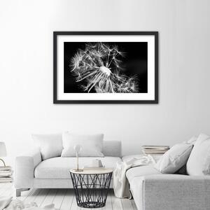 Plakát Černobílá pampeliška Barva rámu: Hnědá, Rozměry: 100 x 70 cm