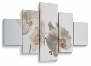 Obraz bílé orchideje (125x70 cm)