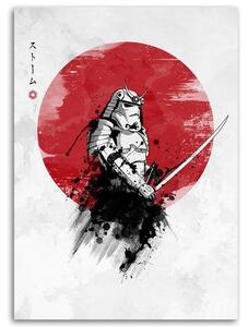 Obraz na plátně Samuraj a slunce - DDJVigo Rozměry: 40 x 60 cm