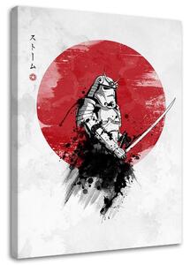 Obraz na plátně Samuraj a slunce - DDJVigo Rozměry: 40 x 60 cm