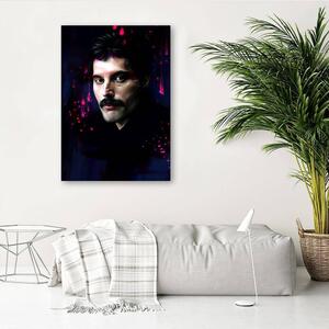 Obraz na plátně Freddie Mercury - Dmitry Belov Rozměry: 40 x 60 cm
