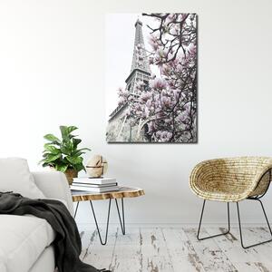 Obraz na plátně Eiffelova věž a magnólie - Dmitry Belov Rozměry: 40 x 60 cm
